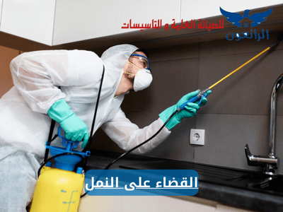القضاء على النمل الابيض والاسود في المنزل