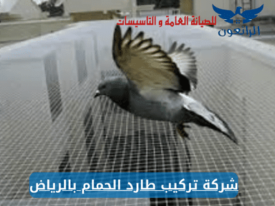شركة تركيب طارد الحمام بالرياض مكافحة حمام