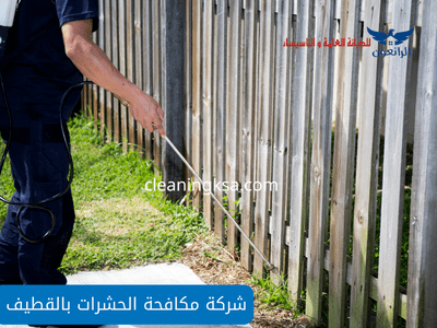 شركة مكافحة الحشرات بالقطيف