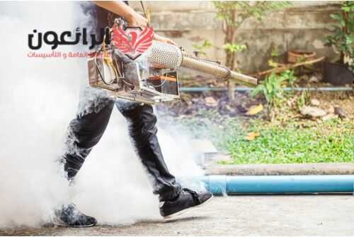 افضل شركة مكافحة حشرات بابها
