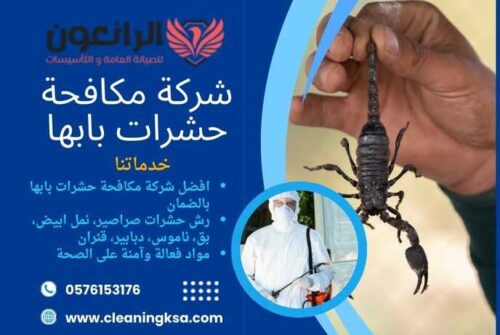 شركة مكافحة حشرات بابها