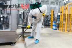 شركة إبادة صراصير بجدة