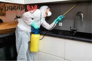 شركة مكافحة الحشرات بجدة