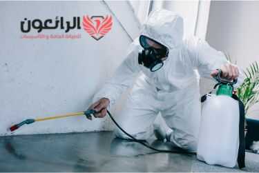أرخص شركة مكافحة حشرات بجدة