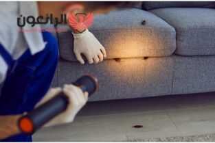 افضل شركة مكافحة حشرات بمكة