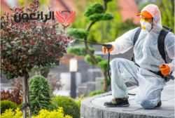 مكافحة الصراصير والنمل الابيض بمكة