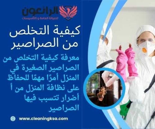 كيفية التخلص من الصراصير