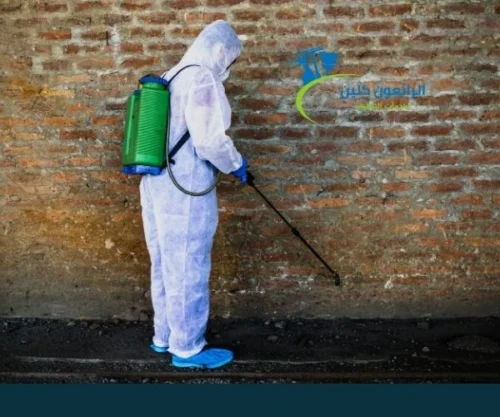 طريقة إبادة البراغيث وكيفية التخلص منها طريقة إبادة البراغيث وكيفية التخلص منها