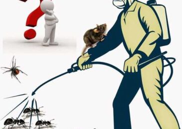 كيفية التخلص من الحشرات الزاحفة في المنزل