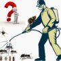 كيفية التخلص من الحشرات الزاحفة في المنزل